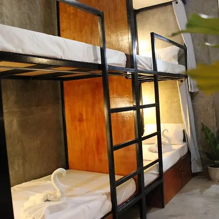 Hangover Hostel