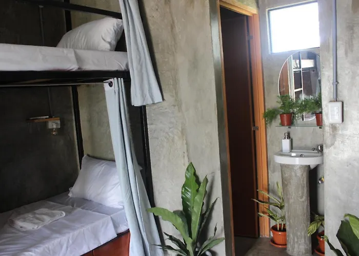 Hangover Hostel *