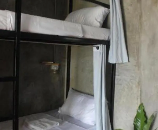 Hangover Hostel *